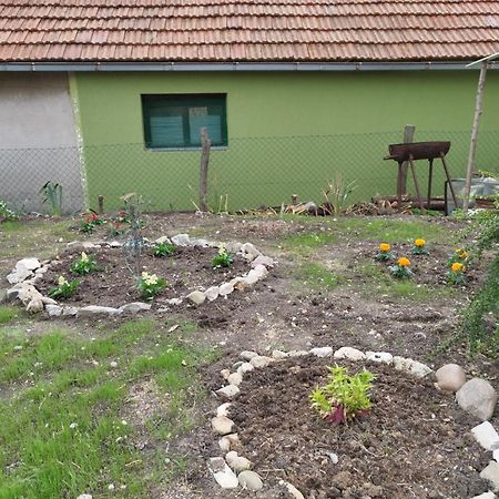 Appartamento Stancic 019 Zaječar Esterno foto