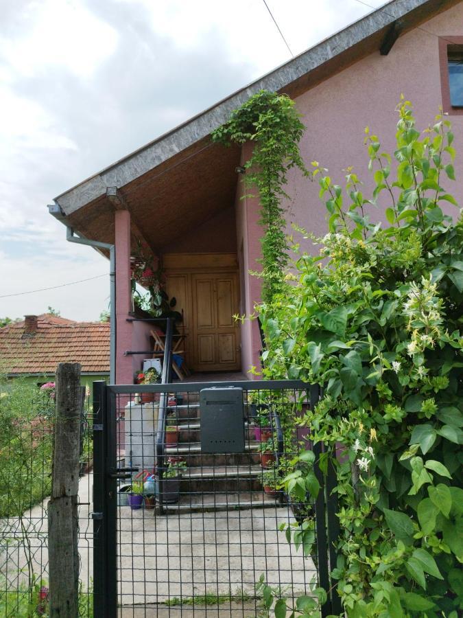 Appartamento Stancic 019 Zaječar Esterno foto