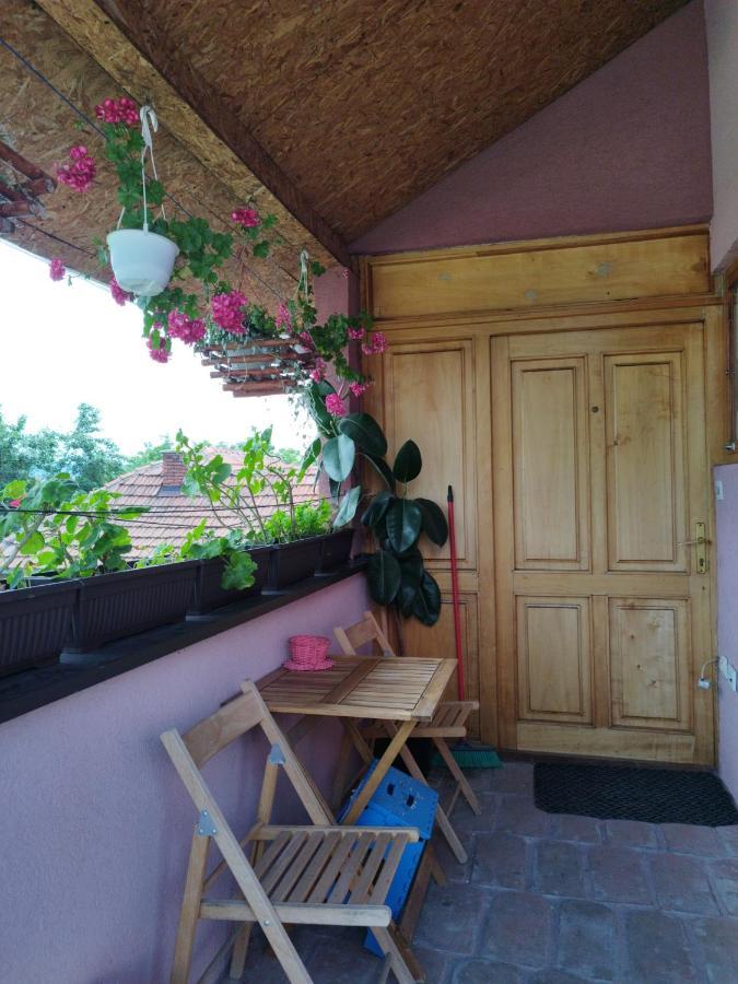 Appartamento Stancic 019 Zaječar Esterno foto
