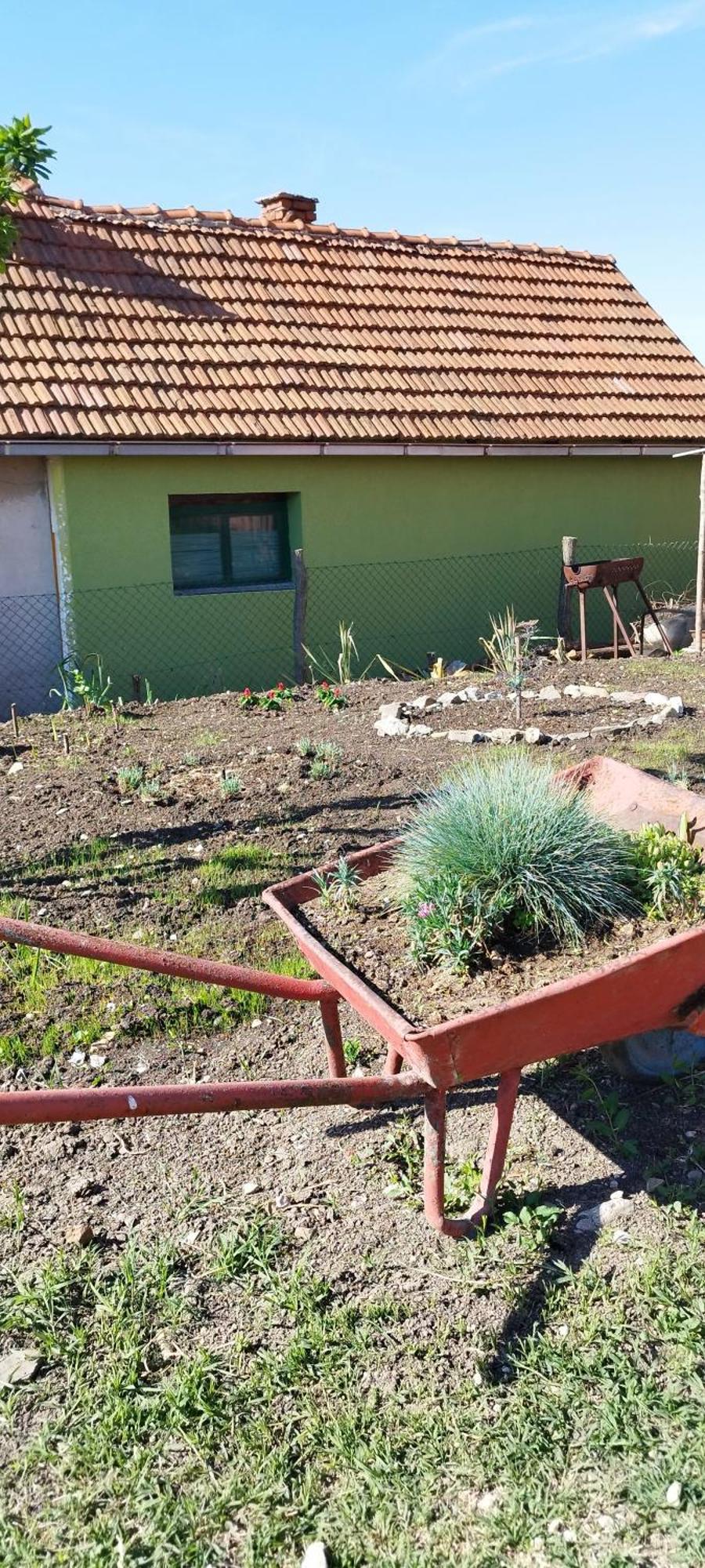 Appartamento Stancic 019 Zaječar Esterno foto