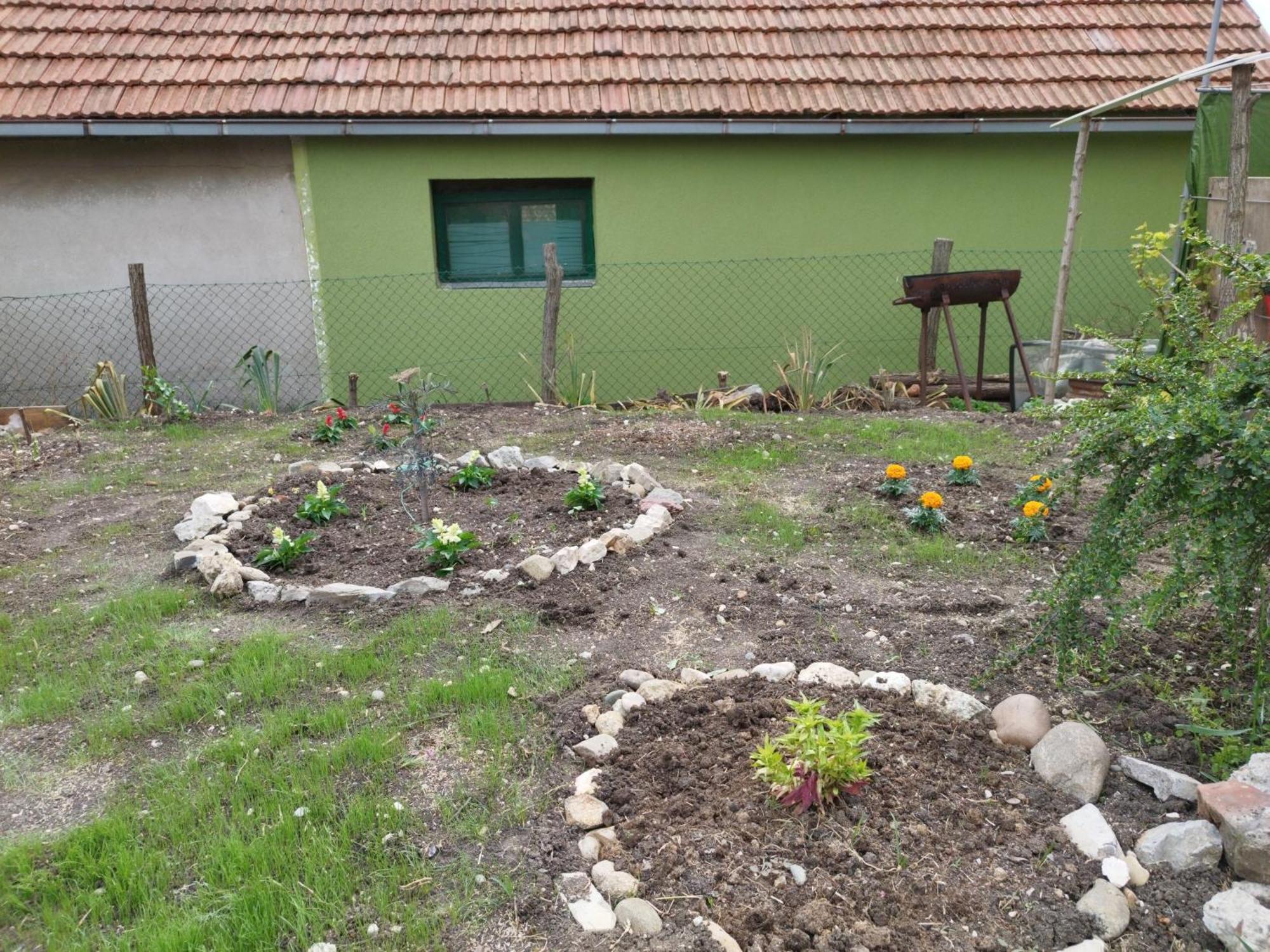 Appartamento Stancic 019 Zaječar Esterno foto